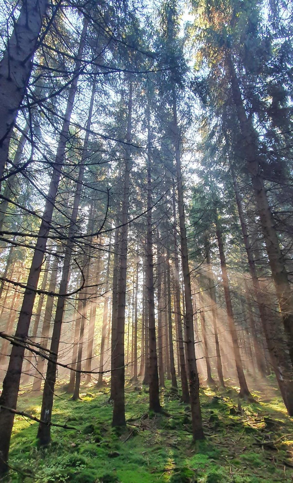 Chata Zieleniecka Duszniki Zdrój Esterno foto