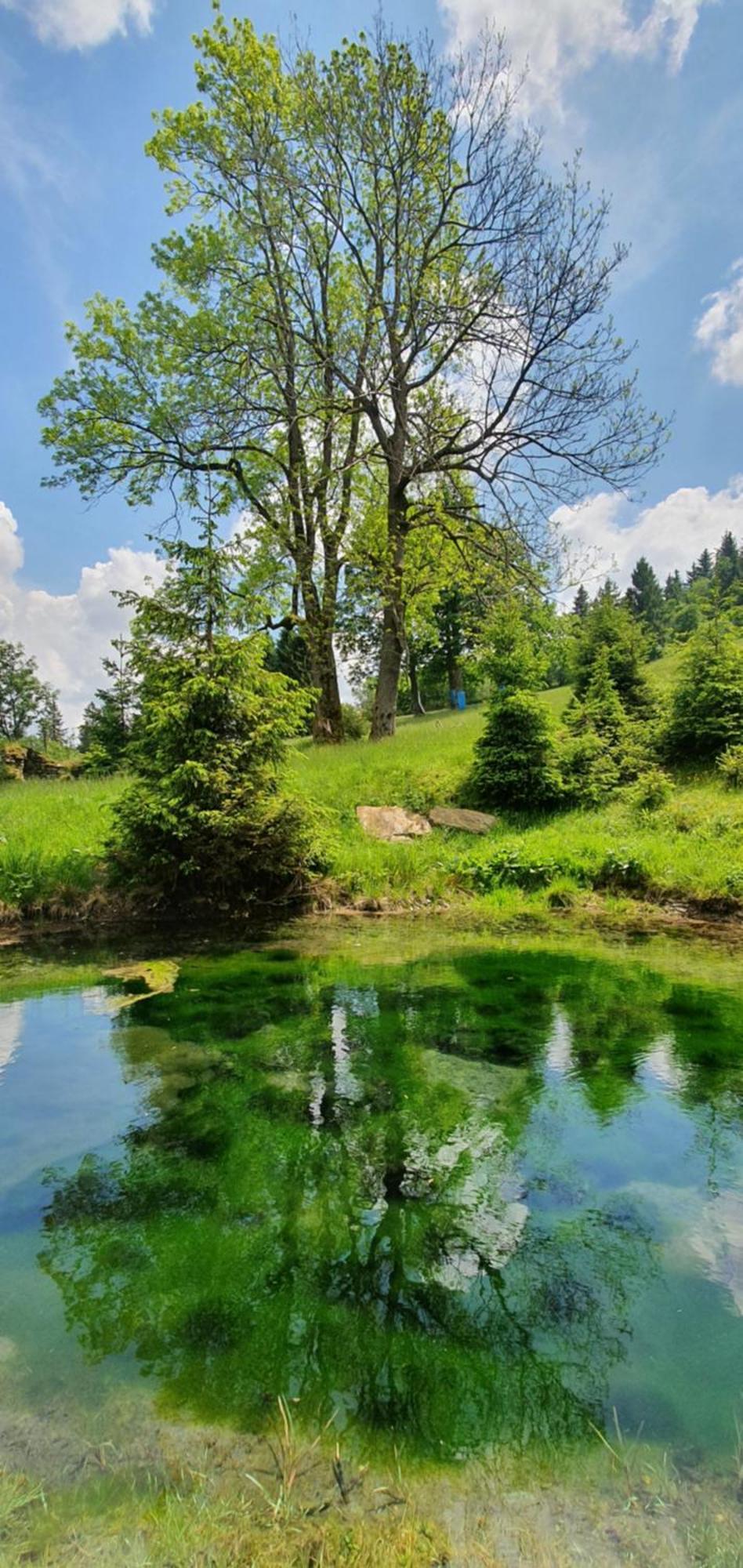 Chata Zieleniecka Duszniki Zdrój Esterno foto