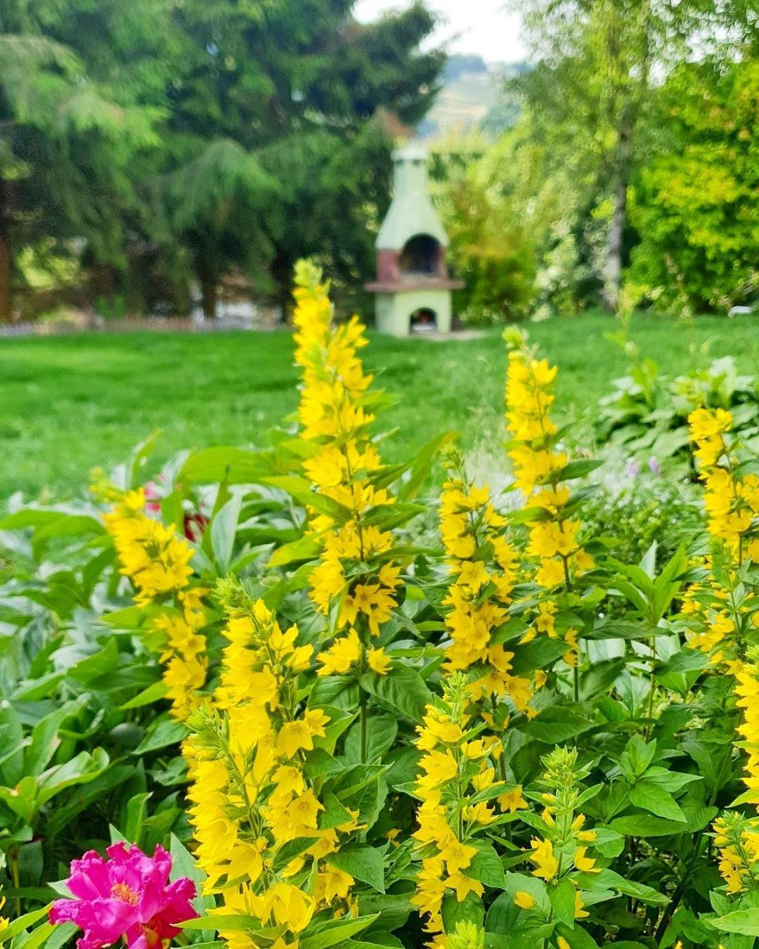 Chata Zieleniecka Duszniki Zdrój Esterno foto